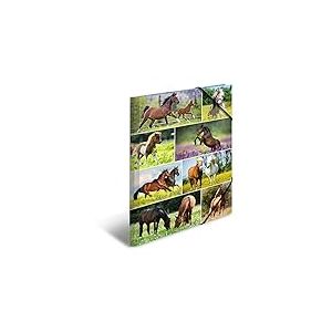 HERMA 19452 Lot de 3 chemises format A3 Animal Worlds Horse Meadow en carton pour enfants avec impression intérieure et bande élastique