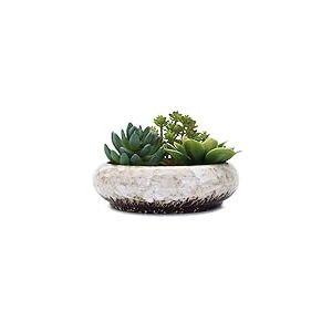 VanEnjoy Pot de fleurs rond en céramique émaillée avec trou de drainage, pour bonsaï, décoration de jardin, cactus chinois blanc