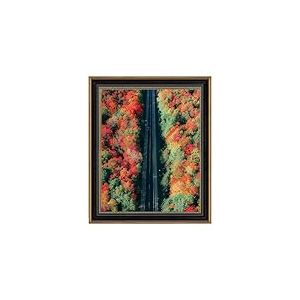 Space Art Deco, Cadre sans passe-partout 40,6 x 50,8 cm sans passe-partout – Cadre d'art – Cintres en dents de scie en verre résistant aux chocs – Support mural (40,6 x 50,8 cm, motif noir/doré orné)