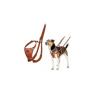Harnais Anti-Traction HALTI - pour Que Votre Chien arr&ecirc;te de Tirer sur sa Laisse, R&eacute;fl&eacute;chissant, Sangle de poitrail et des Pattes Avant rembourr&eacute;e, Harnais pour Petits Chiens (Taille S, Orange Br&ucirc;l&eacute;)