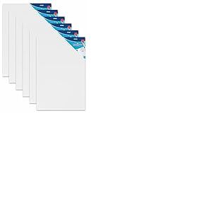 Stylex Lot de 6 ch&acirc;ssis 40 x 60 cm avec toile 100% coton appr&ecirc;t&eacute;e et arri&egrave;re agraf&eacute;e pour peinture &agrave; l'huile, acrylique et tempera