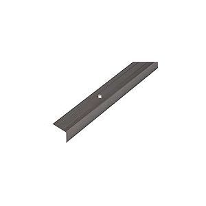 Alberts 476779 Profilé de protection pour nez de marche | aluminium, anodisé, couleur bronze | 1000 x 25 x 20 mm, Bronzefarbig Eloxiert