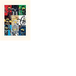 LEGO® Ninjago Movie (Colour Blocks) 30 x 40 cm montée d'impression