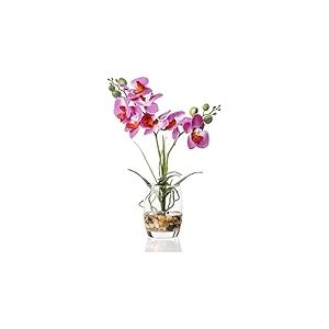 Jusdreen Bonsaï Artificiel avec Vase en Verre - Arrangement de Fleurs phalaenopsis pour décoration de Maison, Bureau, Maison (Vase en Verre/orchidée Violette)
