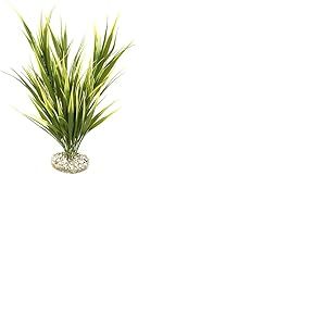 Tyrol - Plante d'Aquarium Artificielle Massif Acorus XXL 50CM - Décoration pour Aquarium - Plante d'intérieur en Plastique sur Socle - Ancrage Facile au Fond de l'Aquarium - Fabriquée en France