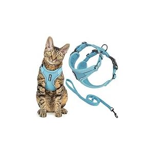 Best Pet Supplies Voyager Ensemble Harnais et Laisse Anti-Fugue pour Chat avec Coutures r&eacute;fl&eacute;chissantes, poign&eacute;e en n&eacute;opr&egrave;ne de 1,5 m, Convient aux Chats, Chatons de Petite, Moyenne et Grande Taille