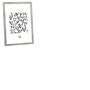 Deknudt Frames S43AD1 Cadre Photo Bois Argenté 20 x 28 cm
