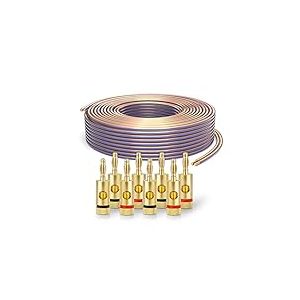 PureLink SP020-030 C&acirc;ble d'enceinte 2x4,0mm&sup2; (99,9% OFC cuivre massif 0,10 mm) C&acirc;ble de haut-parleur Hifi, 30m, transparent, Set comprenant 8 fiches bananes
