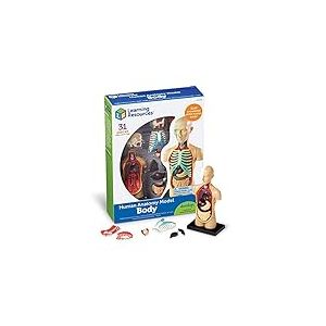 Learning Resources Mod&egrave;le Anatomique - Corps Humain