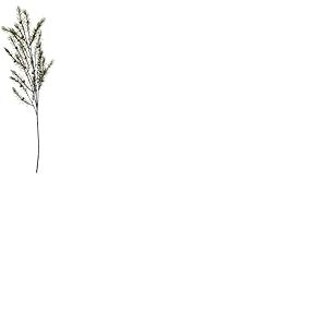 ASA Branche de pin décorative 78 cm