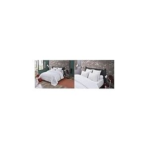 Dodo Couette SANIPROTECT Anti-ACARIENS - Chaude - 220 x 240 cm & Oreiller MAXICONFORT Thermolite Ultra - Moelleux - 60 x 60 cm, Blanc