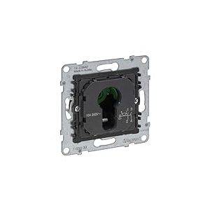 LEGRAND, Seano 765033 Insert pour interrupteur à clé 0-1 pour demi-cylindre DIN bornes à vis 2 positions 0-1 2 broches 10 A 230 V