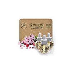 Air Wick Desodorisant Maison Recharge Diffuseur Electrique Fleur de Cerisier et Framboise - 3 x 19 ml