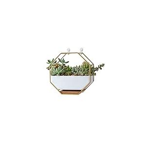 VanEnjoy Vase Mural en c&eacute;ramique Blanche de 17,8 cm et cuivre, Trou de Drainage avec Plateau en Bambou &ndash; Pot de Plantes succulentes &ndash; Mini Cactus artificielles &agrave; Suspendre &ndash; D&eacute;coration Murale
