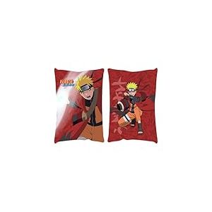 NarutoShippudenoreillerNarutoLimitedEdition202350x35cm