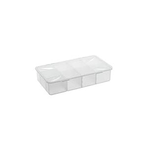 Rotho Snappy Boîte de rangement 3l avec compartiments et couvercle, Plastique (PP) sans BPA, transparent, 3l (33.9 x 19.8 x 7.6 cm)