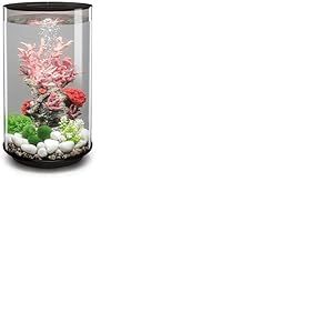 biOrb Tube 30 Aquarium en Acrylique, &eacute;clairage LED Noir Standard Blanc, Vue &agrave; 360 degr&eacute;s, syst&egrave;me de Filtration en 5 &eacute;tapes, Installation Facile, Comprend Pompe &agrave; air, Cartouche filtrante, Support en