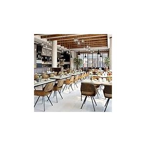 FurnitureR Tables de Caf&eacute;t&eacute;ria en Grise, Table de Cantine Scolaire pour 4 &agrave; 6 Personnes, Plateau en Bois Epais avec Structure M&eacute;tallique, pour Les Repas et Les R&eacute;unions, 150x75x75cm