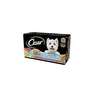 Cesar Senior 10+, Nourriture pour Chien âgé, sélection Assortie, 150 g, 24 bacs - 3600 g