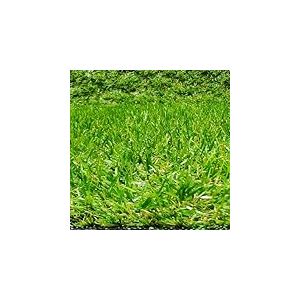 Rouleau de gazon artificiel en moquette pour terrasse ou jardin, hauteur 20 mm, 150 x 200 cm