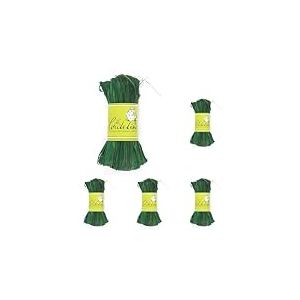 La cordeline JN50G Raphia Menthe 50 g (Lot de 5)