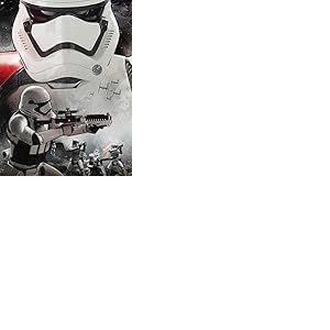 Star Wars Episode VII (Stormtrooper Art) 60 x 80 cm Toile Imprimée