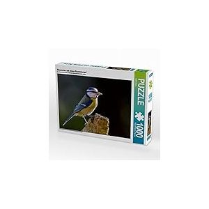 CALVENDO Puzzle Mésange Bleue sur Une souche d'arbre 1000 Pieces 64 x 48 cm from ropo13