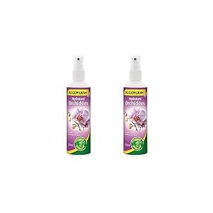 ALGOFLASH Hydratant Orchidées, Vaporisation 1 xfois par jour, 250 ml, AORCHYDRA250N (Lot de 2)