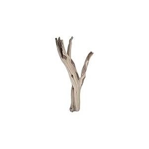Koyal Wholesale Bois flott&eacute; de Californie avec Branches Marron Naturel, 30,5 cm