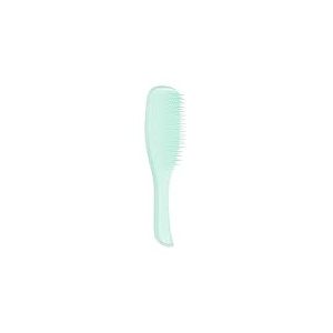 Tangle Teezer | La brosse &agrave; cheveux d&eacute;m&ecirc;lante humide fine et fragile pour cheveux humides et secs | Cheveux color&eacute;s, fins et fragiles | Jade Lagoon