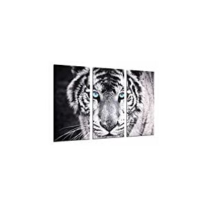 Cuadros Cámara Poster photo Tigre noir et blanc yeux bleus animaux Taille totale 97 x 62 cm XXL