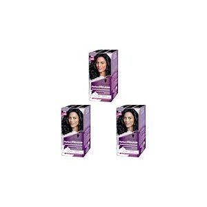 Schwarzkopf - Perfect Mousse - Coloration Cheveux - Mousse Permanente sans Ammoniaque - Masque Soin 96% d'ingrédients d'origine naturelle - Noir Glacé 210 (Lot de 3)