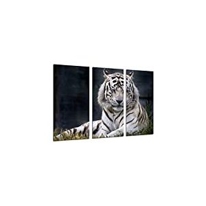 Tableau Moderne Photographique, Impression sur bois, Tigre blanc, animaux, 97 x 62 cm, ref. 26310