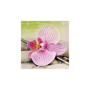 Pro Art Image sous Verre Orchidee I - 50 x 50 cm