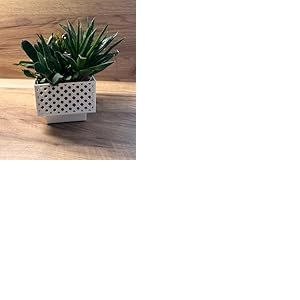 Kimmel Lot de 2 Cache-Pots carrés - 13 cm - Blanc - Pot à orchidée - Pot de Fleurs décoratif