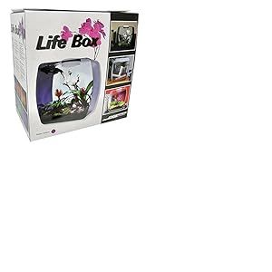 Lucky Reptile Life Box Terrarium Design