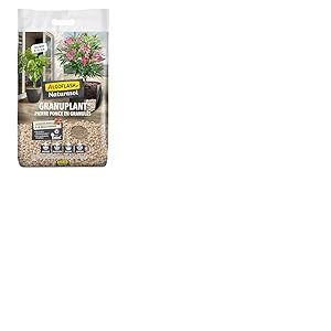Algoflash Granuplant Granulés de Drainage et de Plantation - Pierre Ponce 100% Naturelle - Alternative Durable à la Bille d’Argile - 5 L, Gris