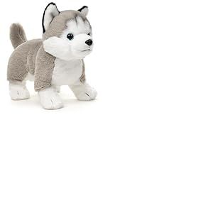 Uni-Toys - Husky Gris, Debout (sans Laisse) &ndash; 30 cm (Longueur) &ndash; Peluche Chien &ndash; Doudou