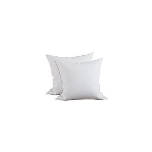 Elegant Comfort Lot de 2 Coussins en Polycoton - Garnissage en Fibre silicon&eacute;e - 40,6 x 40,6 cm - Blanc