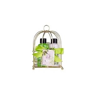 Accentra-Set de douche pour femmes Set cadeau OLIVE dans une belle boîte en bois-Set de 3 pièces avec gel douche et lotion corporelle - Cadeau idéal pour anniversaire & la Saint-Valentin