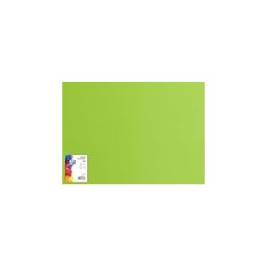 OXFORD Lot de 25 cartons à dessin 50 x 70 cm DIN B2 Papier coloré pour loisirs créatifs 225 g/m² Vert clair