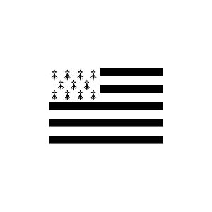 AZ FLAG - Drapeau Bretagne Alternatif Spécial Extérieur - 150x90 cm - Drapeau Breton - France En Maille Bloquée Avec Anneaux Plastiques Intégrés - 170g