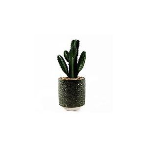 Leaf Design UK Plante Cactus réaliste dans Un Pot en céramique 23 cm