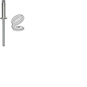 Restagraf - Rivets &Eacute;panouis avec Chapos Blancs pour Plaques d'Immatriculation - Diam&egrave;tre 4 mm - Fixation Durable sur Carrosserie ou Support Plastique - R&eacute;f. 4996 - Bo&icirc;te de 400