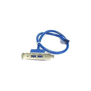 BeMatik - Plate 2 x USB 3.0 USB A BH20 Femme &agrave; Homme (Profil Bas)