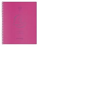 Exacompta - 22447E - Agenda semainier de bureau SAD 22S Linicolor - 18,5 x 22,5 cm - Septembre 2024 à décembre 2025 - 16 mois - Coloris assortis