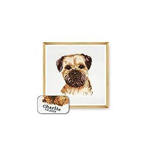 Trimits Grand kit de point de croix personnalisé pour adultes débutants, décoration murale pour amoureux des animaux, propriétaires de chiens, 11 points, 36 x 36 cm, Border Terrier (cadre non inclus)