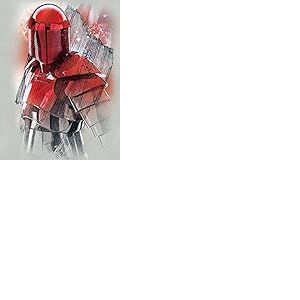 Star Wars WDC100199 Toile Imprim&eacute;e, Multicolore, 60 x 80 cm