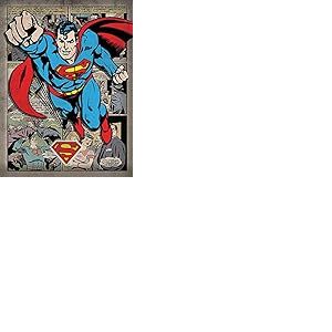 DC Comics WDC90705 Toile Imprimée, Multicolore, 60 x 80 cm