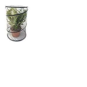 VERDELOOK | Mini Serre Pop-Up avec Cadre PVC Hauteur 110 cm Diamètre 70 cm, Pliable, Portable, Pour Petites Plantes, Peu encombrant, Convient aux Balcons et Terrasses